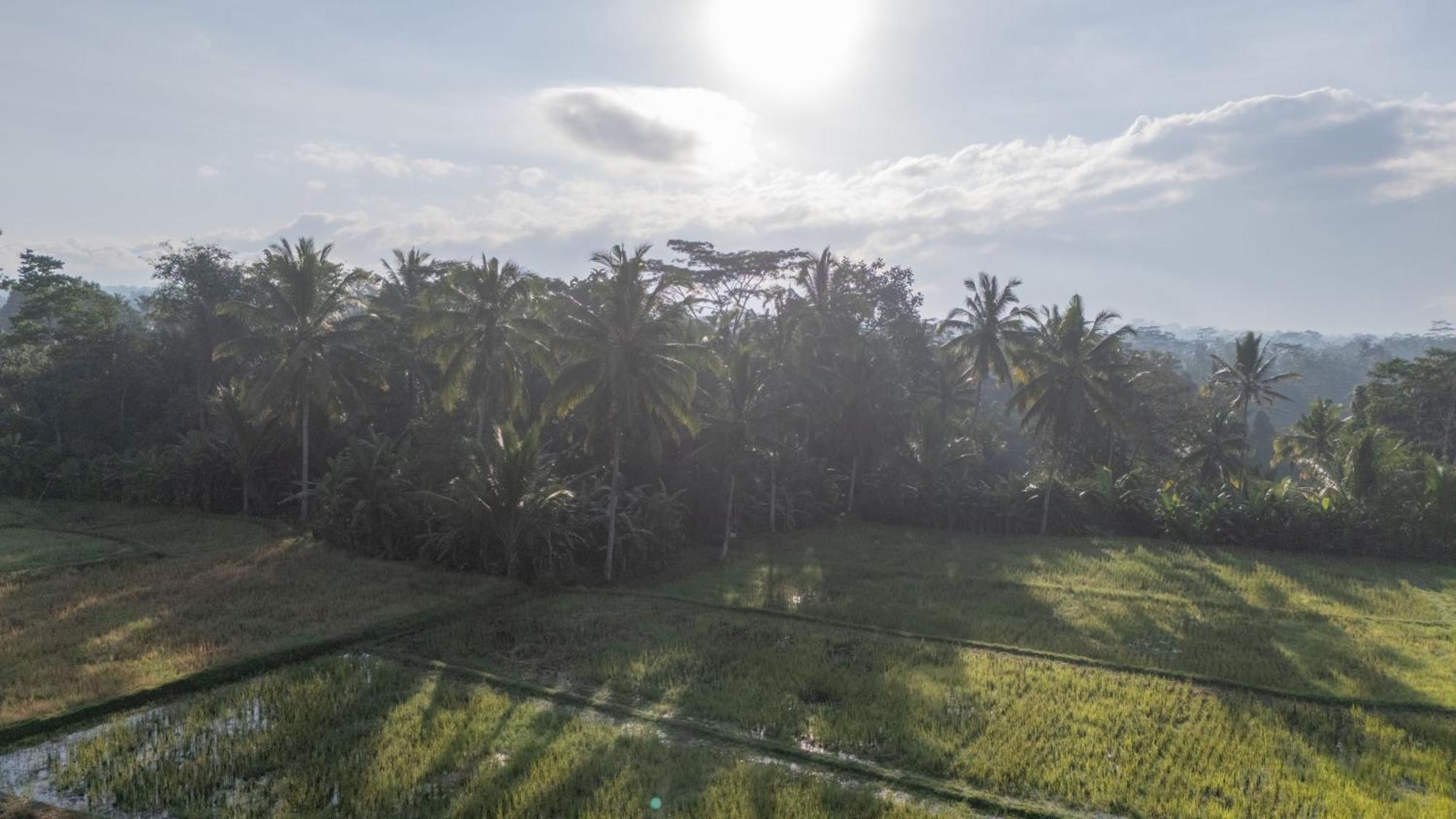 Aditara Sebatu Villa Ubud Exterior foto